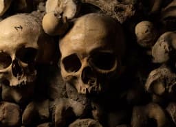 Catacombs of Paris Semi-Private VIP Guided Tour