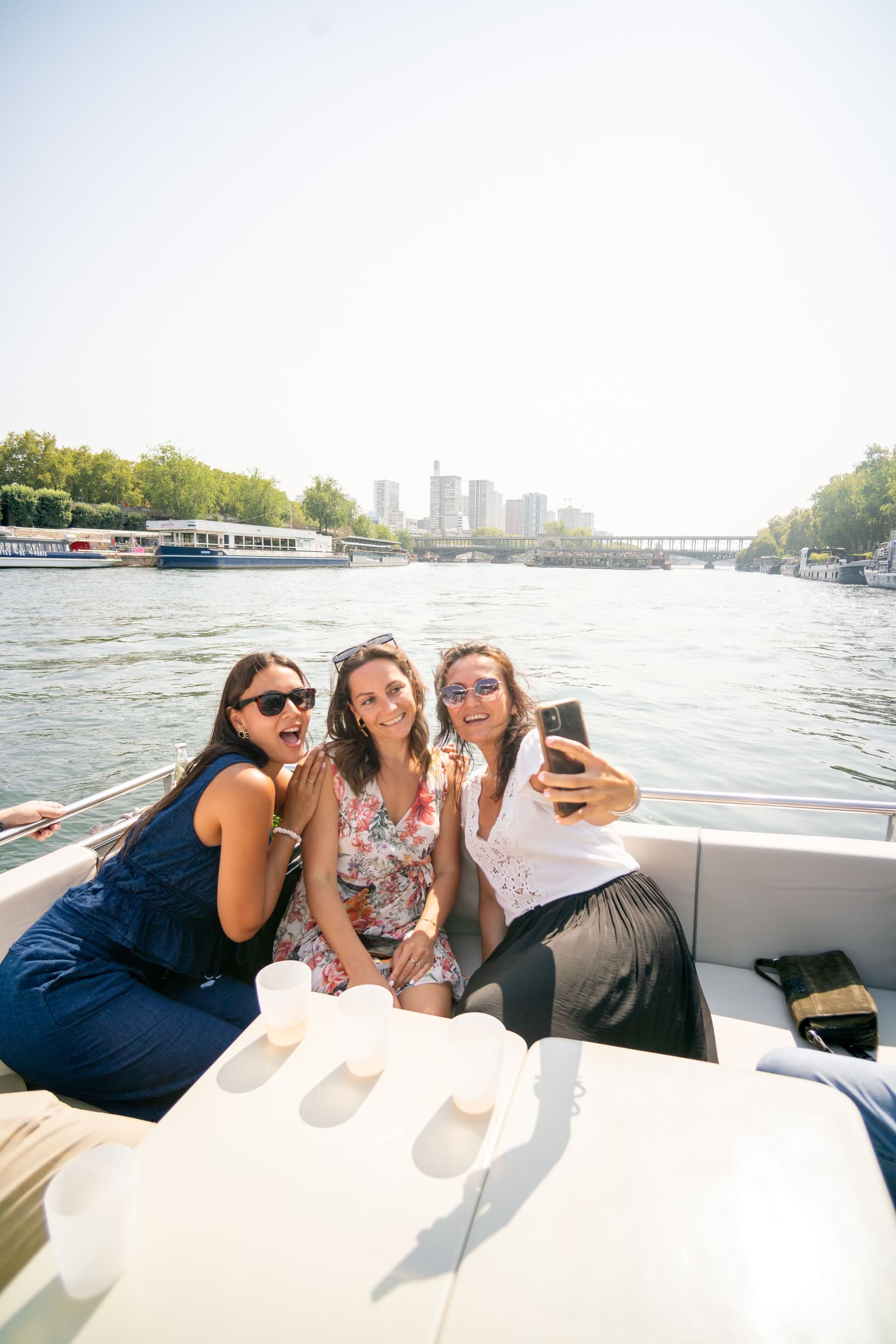 2-12 pax Private Boat Tour in Paris with Rosé and Macarons 6