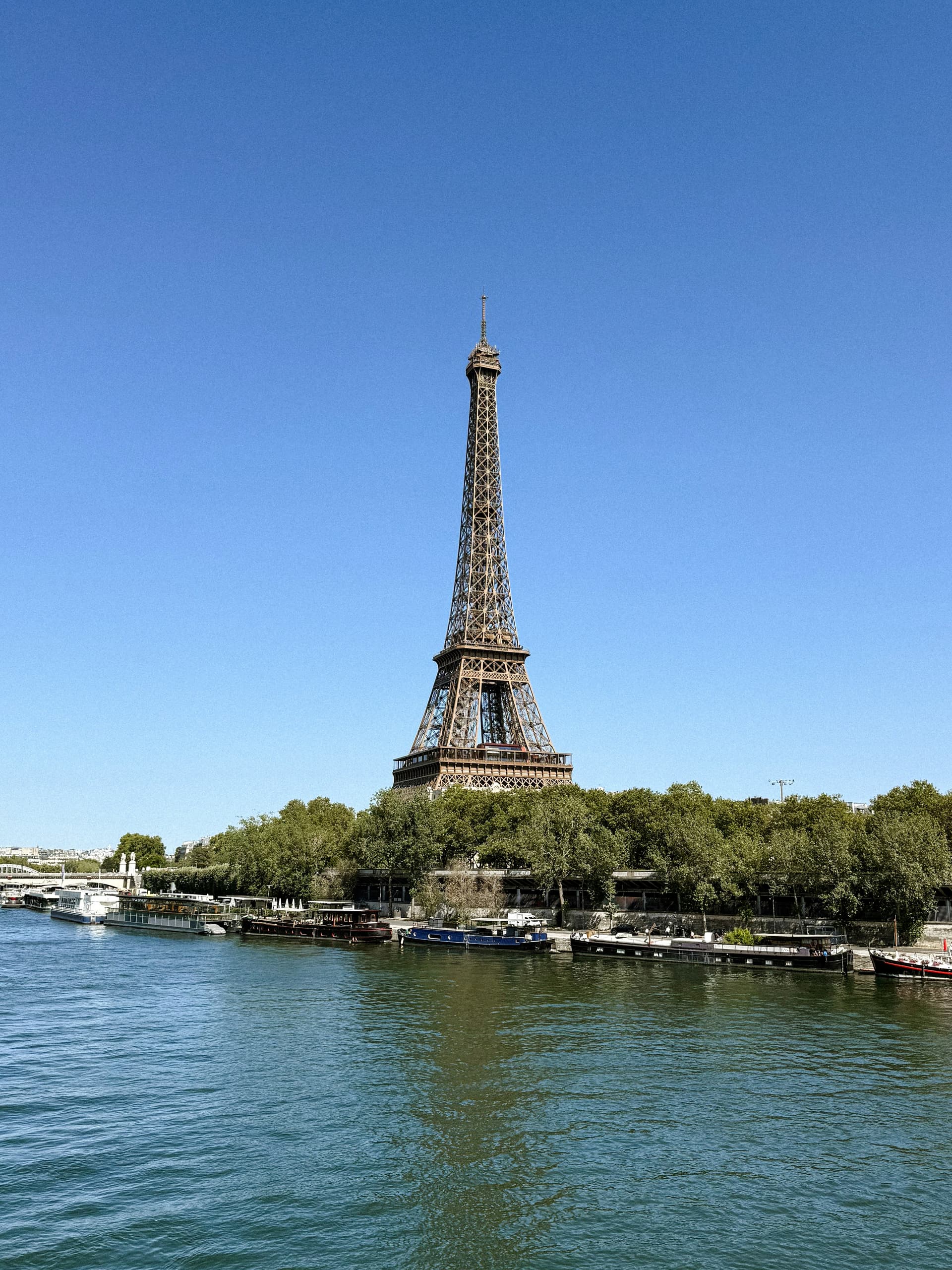 Paris: Eiffel Tower 2nd Floor Tour & Seine River Cruise | Small Group 4
