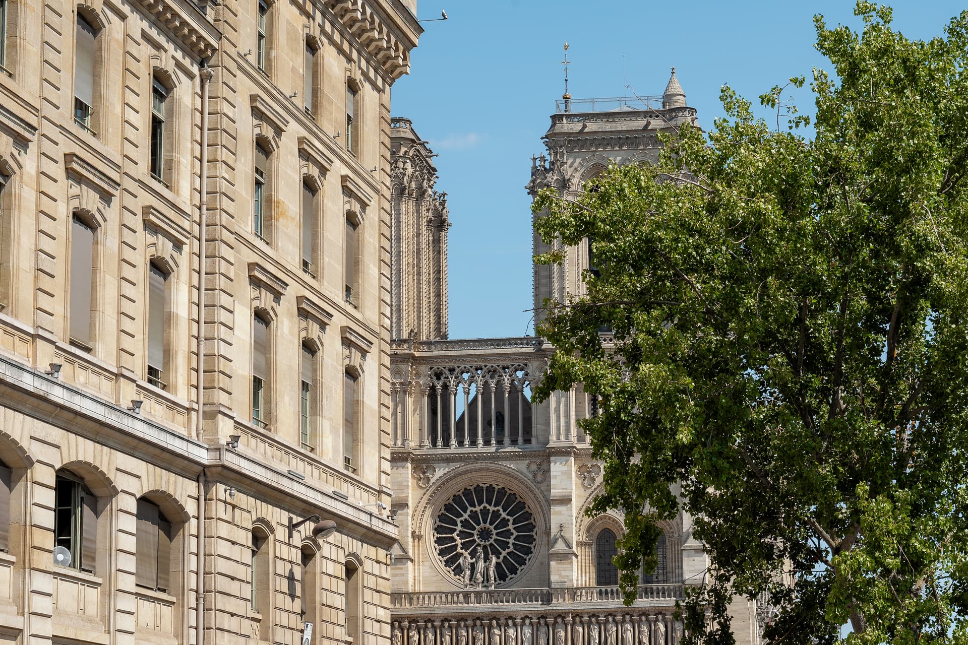 Notre Dame Paris Cathedral Guided Tour (Exterior Only) 16