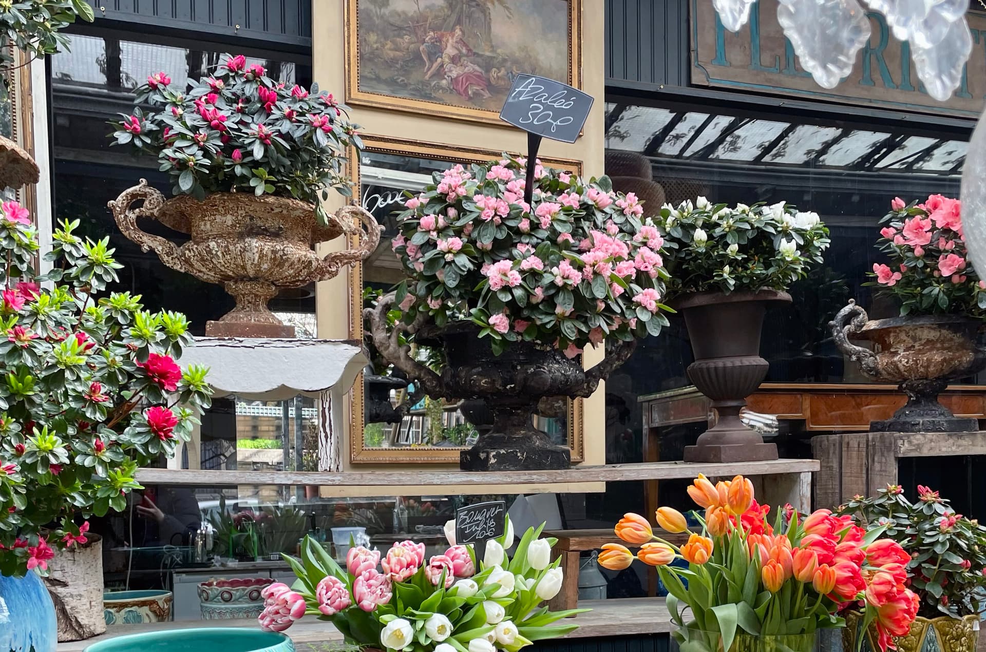 Paris: Ile De La Cité Walking Tour: Discover Paris' Birthplace 17