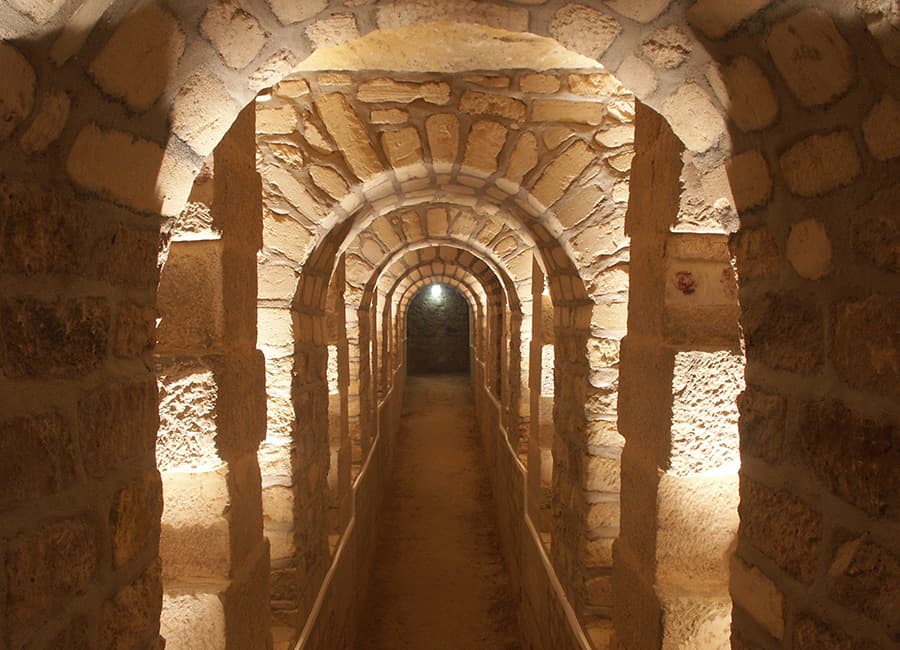 Catacombs of Paris Semi-Private VIP Guided Tour 2