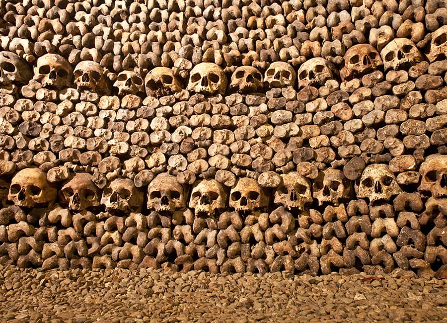 Catacombs of Paris Semi-Private VIP Guided Tour 1